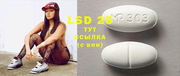 индика Алексин