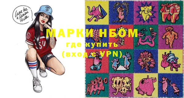 индика Алексин