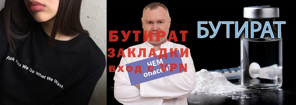 индика Алексин