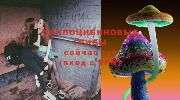 индика Алексин