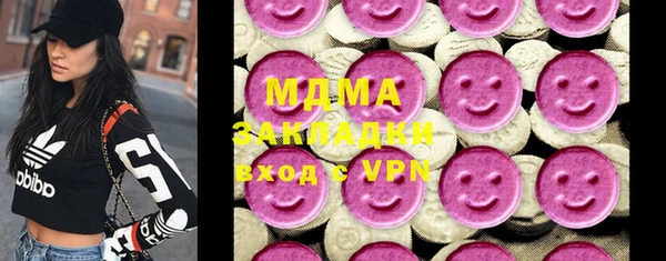 индика Алексин