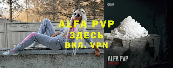 индика Алексин