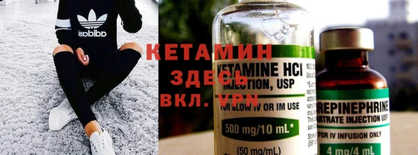 индика Алексин