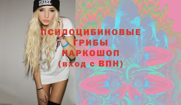 индика Алексин