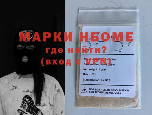 индика Алексин