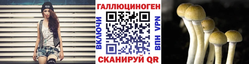 kraken как войти  Ковылкино  Псилоцибиновые грибы мухоморы 